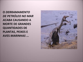 O  DERRAMAMENTO DE PETRÓLEO NO MAR ACABA  CAUSANDO A MORTE DE GRANDES QUANTIDADES DE PLANTAS, PEIXES E AVES  MARINHAS  ...  