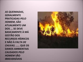 AS QUEIMADAS , GERALMENTE PRATICADAS  PELO HOMEM , SÃO ATUALMENTE UM DOS ... SE DEVE BASICAMENTE À MÁ GESTÃO DOS RECURSOS HÍDRICOS E NÃO À  FALTA DE CHUVAS . ..... QUE OS DANOS AMBIENTAIS  CAUSADOS PELO HOMEM  SÃO IRREVERSÍVEIS 
