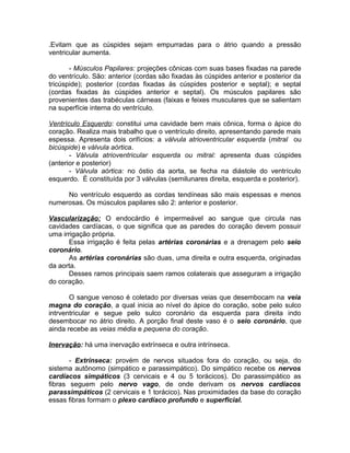 .Evitam que as cúspides sejam empurradas para o átrio quando a pressão
ventricular aumenta.
- Músculos Papilares: projeções cônicas com suas bases fixadas na parede
do ventrículo. São: anterior (cordas são fixadas às cúspides anterior e posterior da
tricúspide); posterior (cordas fixadas às cúspides posterior e septal); e septal
(cordas fixadas às cúspides anterior e septal). Os músculos papilares são
provenientes das trabéculas cárneas (faixas e feixes musculares que se salientam
na superfície interna do ventrículo.
Ventrículo Esquerdo: constitui uma cavidade bem mais cônica, forma o ápice do
coração. Realiza mais trabalho que o ventrículo direito, apresentando parede mais
espessa. Apresenta dois orifícios: a válvula atrioventricular esquerda (mitral ou
bicúspide) e válvula aórtica.
- Válvula atrioventricular esquerda ou mitral: apresenta duas cúspides
(anterior e posterior)
- Válvula aórtica: no óstio da aorta, se fecha na diástole do ventrículo
esquerdo. É constituída por 3 válvulas (semilunares direita, esquerda e posterior).
No ventrículo esquerdo as cordas tendíneas são mais espessas e menos
numerosas. Os músculos papilares são 2: anterior e posterior.
Vascularização: O endocárdio é impermeável ao sangue que circula nas
cavidades cardíacas, o que significa que as paredes do coração devem possuir
uma irrigação própria.
Essa irrigação é feita pelas artérias coronárias e a drenagem pelo seio
coronário.
As artérias coronárias são duas, uma direita e outra esquerda, originadas
da aorta.
Desses ramos principais saem ramos colaterais que asseguram a irrigação
do coração.
O sangue venoso é coletado por diversas veias que desembocam na veia
magna do coração, a qual inicia ao nível do ápice do coração, sobe pelo sulco
intrventricular e segue pelo sulco coronário da esquerda para direita indo
desembocar no átrio direito. A porção final deste vaso é o seio coronário, que
ainda recebe as veias média e pequena do coração.
Inervação: há uma inervação extrínseca e outra intrínseca.
- Extrínseca: provém de nervos situados fora do coração, ou seja, do
sistema autônomo (simpático e parassimpático). Do simpático recebe os nervos
cardíacos simpáticos (3 cervicais e 4 ou 5 torácicos). Do parassimpático as
fibras seguem pelo nervo vago, de onde derivam os nervos cardíacos
parassimpáticos (2 cervicais e 1 torácico). Nas proximidades da base do coração
essas fibras formam o plexo cardíaco profundo e superficial.
 