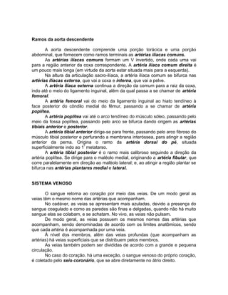 Ramos da aorta descendente
A aorta descendente comprende uma porção torácica e uma porção
abdominal, que fornecem como ramos terminais as artérias ilíacas comuns.
As artérias ilíacas comuns formam um V invertido, onde cada uma vai
para a região anterior da coxa correspondente. A artéria ilíaca comum direita é
um pouco mais longa (em virtude da aorta estar situada mais para a esquerda).
Na altura da articulação sacro-ilíaca, a artéria ilíaca comum se bifurca nas
artérias ilíacas externa, que vai a coxa e interna, que vai a pelve.
A artéria ilíaca externa continua a direção da comum para a raiz da coxa,
indo até o meio do ligamento inguinal, além da qual passa a se chamar de artéria
femoral.
A artéria femoral vai do meio da ligamento inguinal ao hiato tendíneo à
face posterior do côndilo medial do fêmur, passando a se chamar de artéria
poplítea.
A artéria poplítea vai até o arco tendíneo do músculo sóleo, passando pelo
meio da fossa poplítea, passando pelo arco se bifurca dando origem as artérias
tibiais anterior e posterior.
A artéria tibial anterior dirige-se para frente, passando pelo arco fibroso do
músculo tibial posterior e perfurando a membrana interóssea, para atingir a região
anterior da perna. Origina o ramo da artéria dorsal do pé, situada
superficialmente indo ao 1º
metatarso.
A artéria tibial posterior é o ramo mais calibroso seguindo a direção da
artéria poplítea. Se dirige para o maléolo medial, originando a artéria fibular, que
corre paralelamente em direção ao maléolo lateral; e, ao atingir a região plantar se
bifurca nas artérias plantares medial e lateral.
SISTEMA VENOSO
O sangue retorna ao coração por meio das veias. De um modo geral as
veias têm o mesmo nome das artérias que acompanham.
No cadáver, as veias se apresentam mais azuladas, devido a presença do
sangue coagulado e como as paredes são finas e delgadas, quando não há muito
sangue elas se colabam, e se achatam. No vivo, as veias não pulsam.
De modo geral, as veias possuem os mesmos nomes das artérias que
acompanham, sendo denominadas de acordo com os limites anatômicos, sendo
que cada artéria é acompanhada por uma veia.
À nível dos membros, além das veias profundas (que acompanham as
artérias) há veias superficiais que se distribuem pelos membros.
As veias também podem ser divididas de acordo com a grande e pequena
circulação.
No caso do coração, há uma exceção, o sangue venoso do próprio coração,
é coletado pelo seio coronário, que se abre diretamente no átrio direito.
 