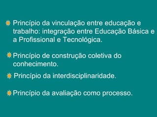 Princípio de construção coletiva do conhecimento. Princípio da vinculação entre educação e trabalho: integração entre Educação Básica e a Profissional e Tecnológica. Princípio da interdisciplinaridade. Princípio da avaliação como processo. 