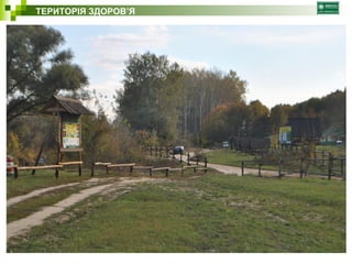 ТЕРИТОРІЯ ЗДОРОВ’Я 
 