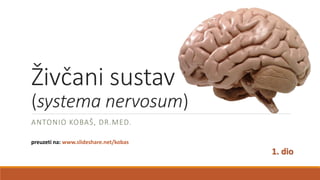 Živčani sustav
(systema nervosum)
ANTONIO KOBAŠ, DR.MED.
preuzeti na: www.slideshare.net/kobas
 
