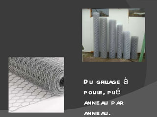 Du grillage à poule, plié anneau par anneau. 