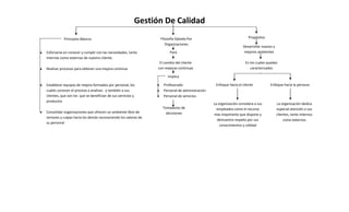 Gestión De Calidad
           Principios Básicos                                   Filosofía Optada Por                   ...