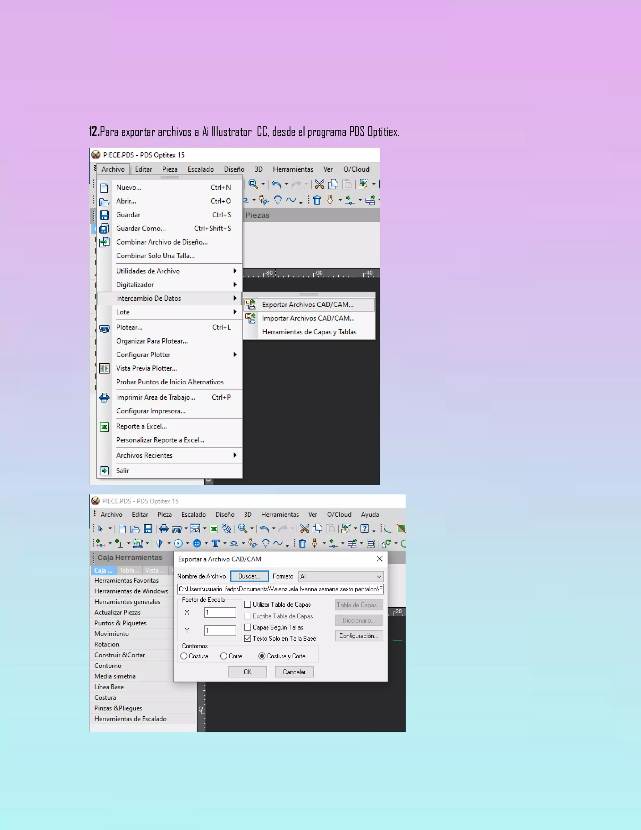 12.Para exportar archivos a Ai Illustrator CC, desde el programa PDS Optitiex.
 