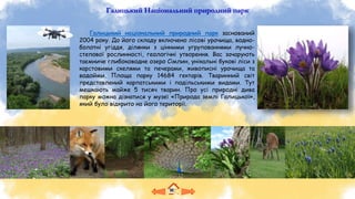 Галицький Національний природний парк
Галицький національний природний парк заснований
2004 року. До його складу включено лісові урочища, водно-
болотні угіддя, ділянки з цінними угрупованнями лучно-
степової рослинності, геологічні утворення. Вас зачарують
таємниче глибоководне озеро Сімлин, унікальні букові ліси з
карстовими скелями та печерами, живописні урочища та
водойми. Площа парку 14684 гектарів. Тваринний світ
представлений карпатськими і подільськими видами. Тут
мешкають майже 5 тисяч тварин. Про усі природні дива
парку можна дізнатися у музеї «Природа землі Галицької»,
який було відкрито на його території.
 