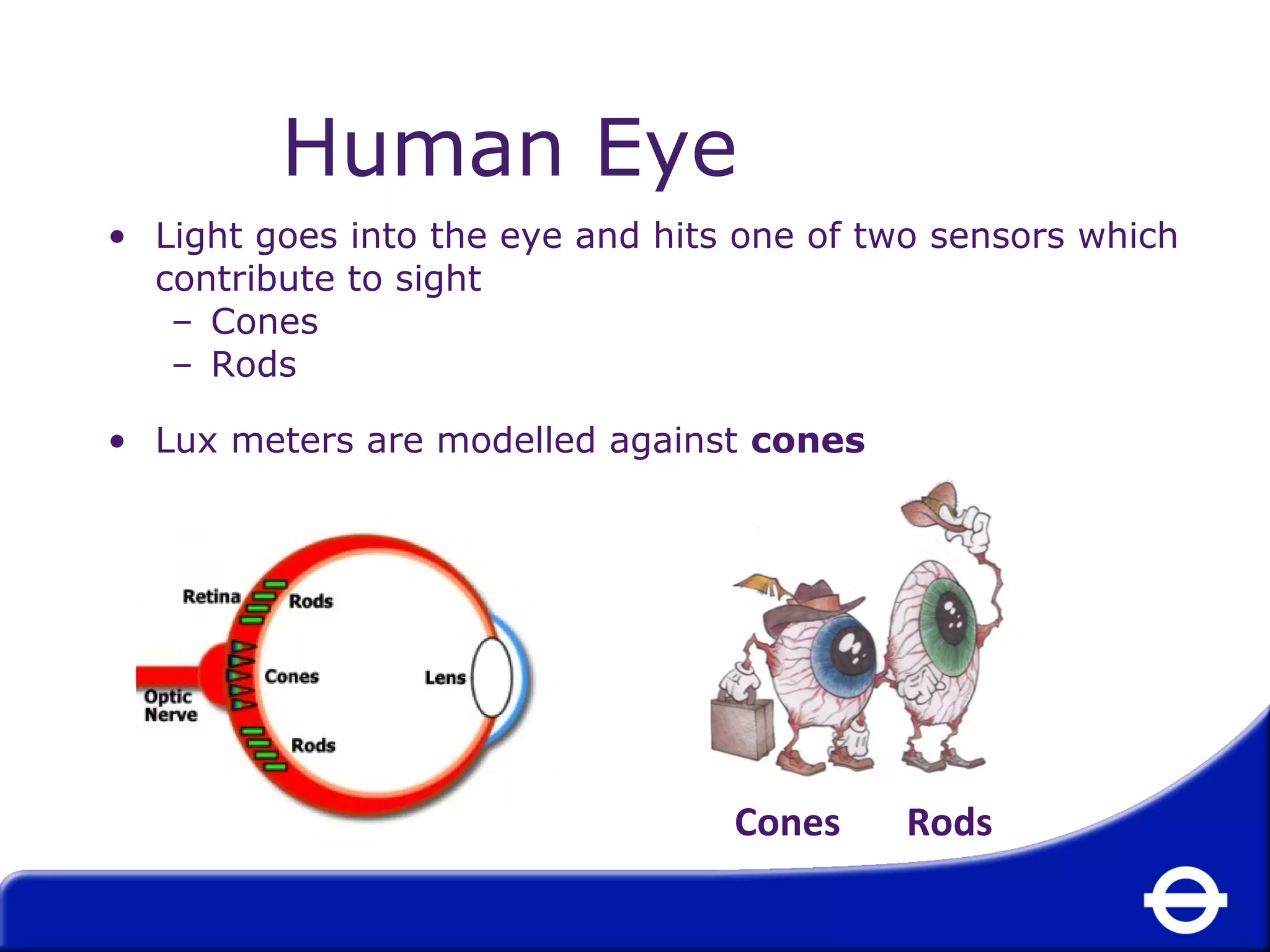 Human Eye 
• Light goes into the eye and hits one of two sensors which 
contribute to sight 
– Cones 
– Rods 
• Lux meters are modelled against cones 
Cones Rods 
 