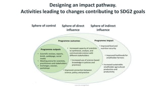 Sphere of control Sphere of direct
influence
Sphere of indirect
influence
Designing an impact pathway.
Activities leading to changes contributing to SDG2 goals
 