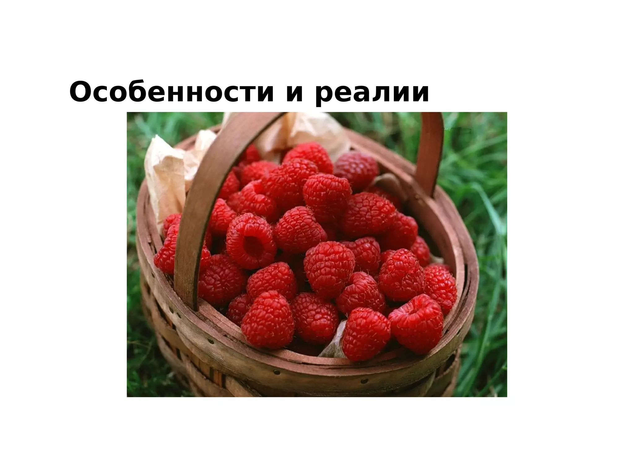 Особенности и реалии
 