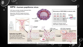 ejournal.litbang.depkes.go.id/
 