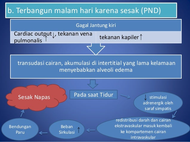 Modul 1 sesak napas skenario 2 7a