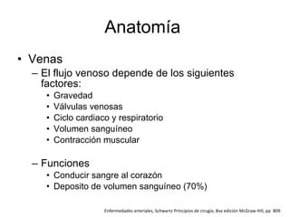 Anatomía  Venas El flujo venoso depende de lo s siguientes factores: Gravedad Válvulas venosas Ciclo cardiaco y respiratorio Volumen sanguíneo  Contracción muscular Funciones Conducir sangre al corazón Deposito de volumen sanguíneo (70%) Enfermedades arteriales, Schwartz Principios de cirugía, 8va edición McGraw Hill, pp  809 