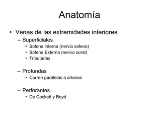 Anatomía Venas de las extremidades inferiores Superficiales Safena interna (nervio safeno) Safena Externa (nervio sural) Tributarias Profundas  Corren paralelas a arterias Perforantes  De Cockett y Boyd 