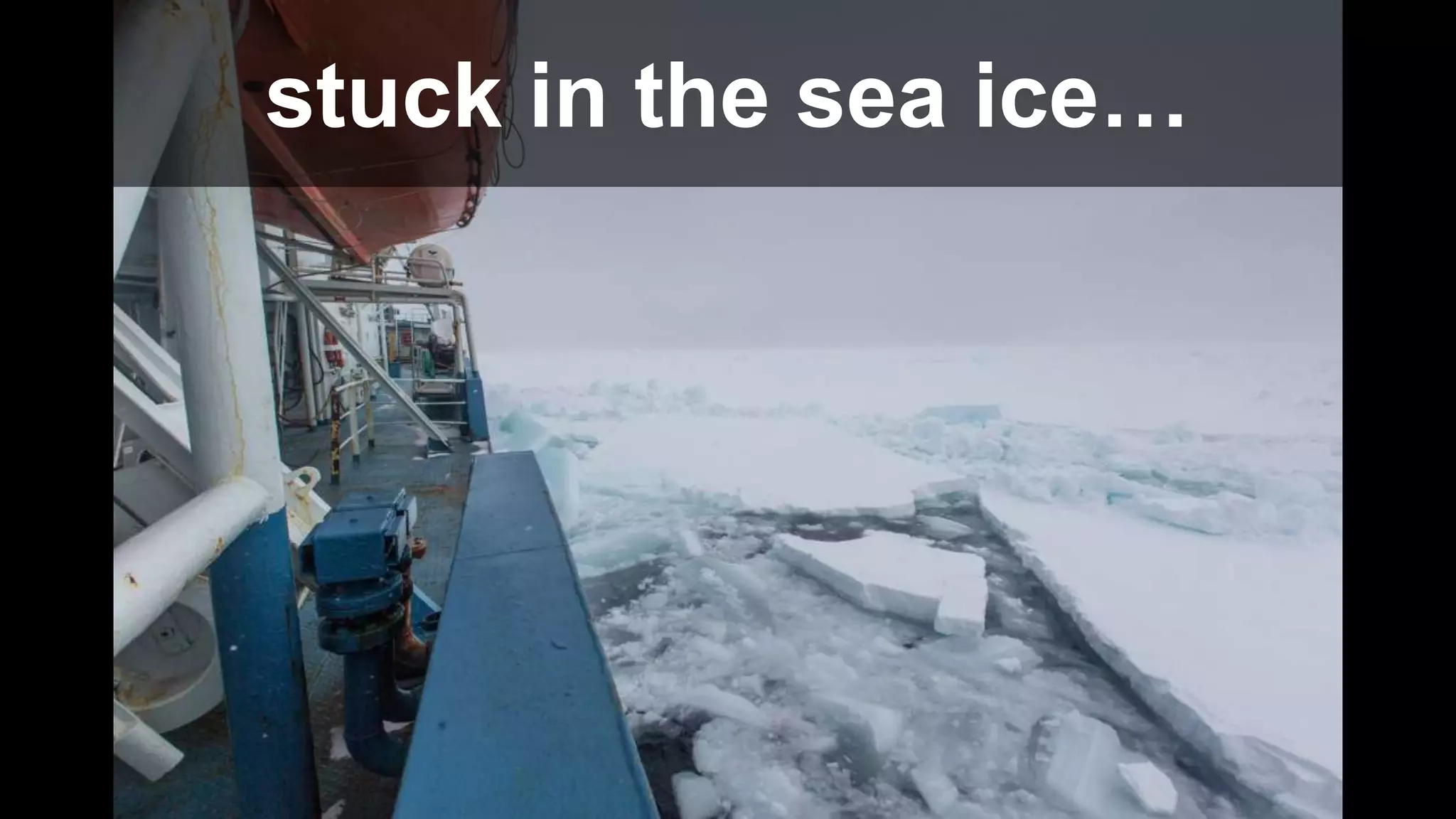 stuck in the sea ice…
 