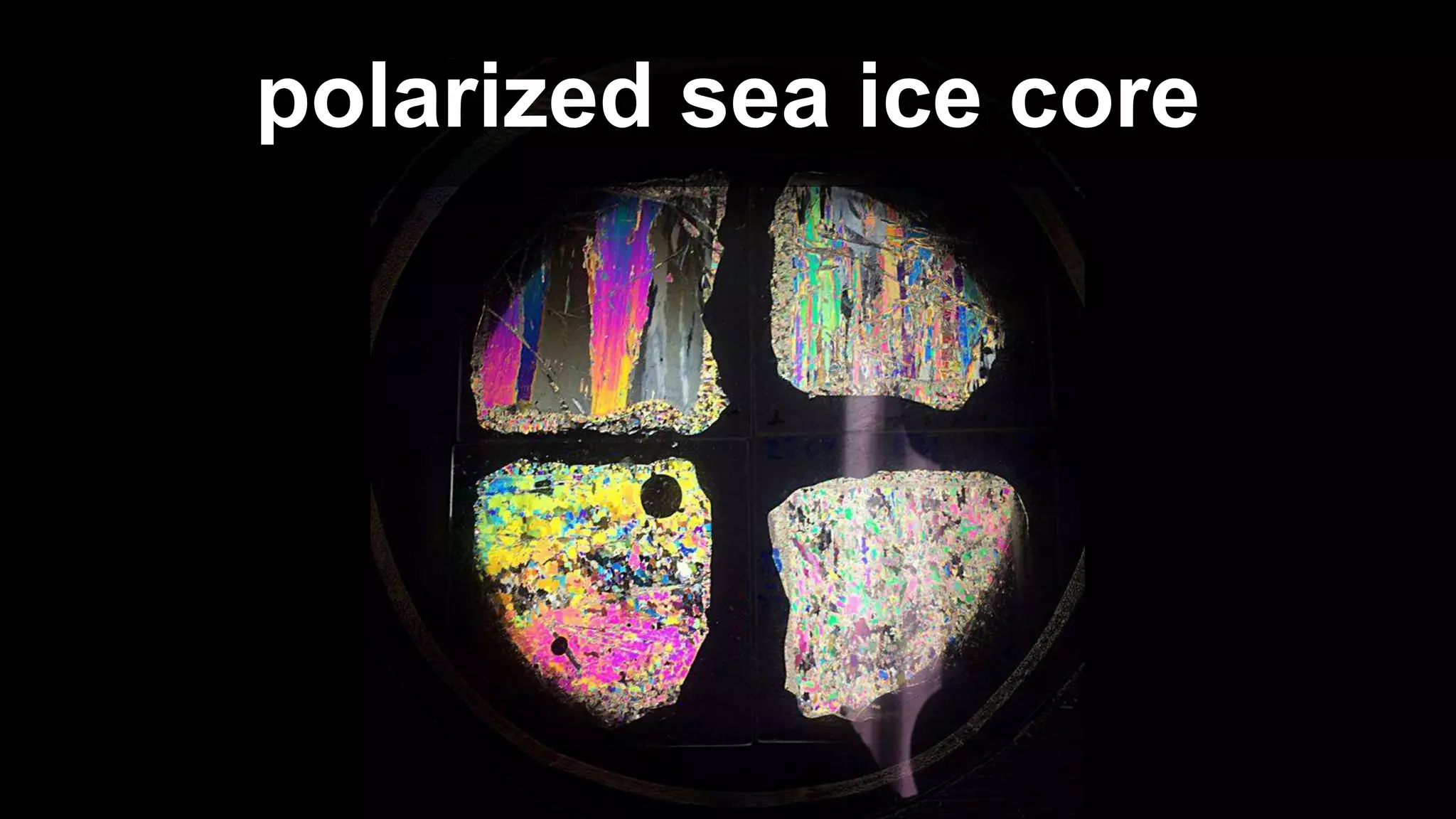 polarized sea ice core
 