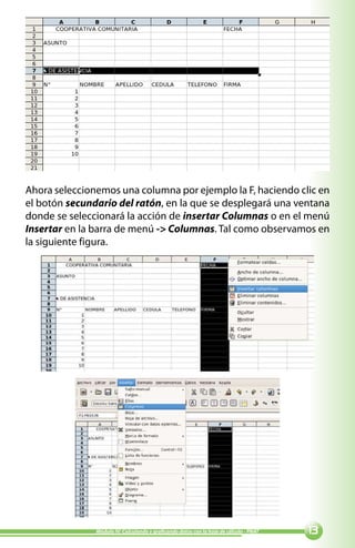 Ahora seleccionemos una columna por ejemplo la F, haciendo clic en
el botón secundario del ratón, en la que se desplegará una ventana
donde se seleccionará la acción de insertar Columnas o en el menú
Insertar en la barra de menú - Columnas. Tal como observamos en
la siguiente figura.




               Módulo IV: Calculando y graficando datos con la hoja de cálculo - PNAT   
 