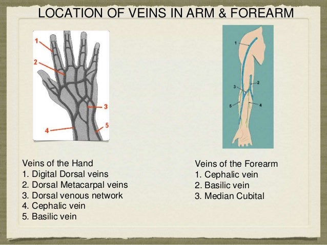 Iv cannula technique