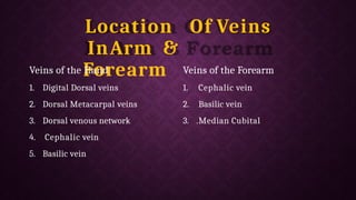 Location Of Veins
InArm &
Forearm
Veins of the Hand
1. Digital Dorsal veins
2. Dorsal Metacarpal veins
3. Dorsal venous network
4. Cephalic vein
5. Basilic vein
Veins of the Forearm
1. Cephalic vein
2. Basilic vein
3. .Median Cubital
 