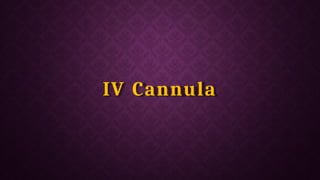 IV Cannula
 