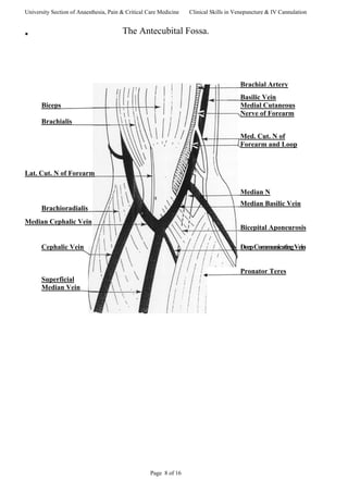University Section of Anaesthesia, Pain & Critical Care Medicine Clinical Skills in Venepuncture & IV Cannulation
The Antecubital Fossa.•
Brachial Artery
Basilic Vein
Biceps Medial Cutaneous
Nerve of Forearm
Brachialis
Med. Cut. N of
Forearm and Loop
Lat. Cut. N of Forearm
Median N
Brachioradialis
Median Basilic Vein
Median Cephalic Vein
Bicepital Aponeurosis
Cephalic Vein DeepCommunicatingVein
Pronator Teres
Superficial
Median Vein
Page 8 of 16
 