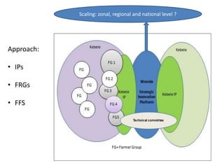 Approach: 
• IPs 
• FRGs 
• FFS 
Scaling: zonal, regional and national level ? 
 