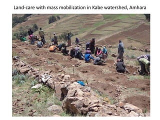 Agricultural intensification, value chain development and human capacity strengthening: How can we build these together