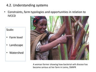 Agricultural intensification, value chain development and human capacity strengthening: How can we build these together