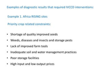 Agricultural intensification, value chain development and human capacity strengthening: How can we build these together