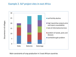 Agricultural intensification, value chain development and human capacity strengthening: How can we build these together
