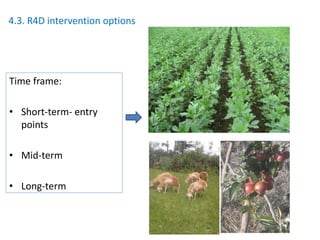 Agricultural intensification, value chain development and human capacity strengthening: How can we build these together