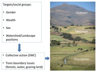 Agricultural intensification, value chain development and human capacity strengthening: How can we build these together