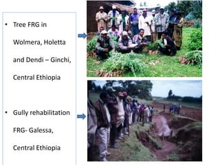 Agricultural intensification, value chain development and human capacity strengthening: How can we build these together