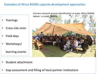 Agricultural intensification, value chain development and human capacity strengthening: How can we build these together
