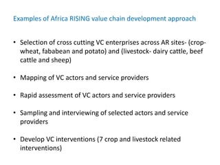 Agricultural intensification, value chain development and human capacity strengthening: How can we build these together