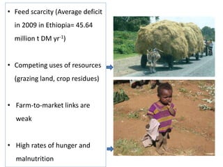 Agricultural intensification, value chain development and human capacity strengthening: How can we build these together
