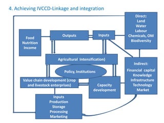 Agricultural intensification, value chain development and human capacity strengthening: How can we build these together