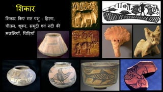 लशकार
लशकार ककए गए पशु : दहरण,
चीतल, शूकर, समुद्री एवं नदी की
मछललयााँ, र्चडड़यााँ
 