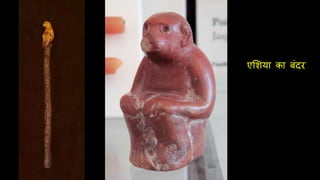 एलशया का बंदर
 