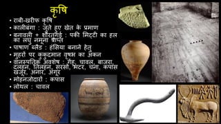 कृ वष
• राबी-खरीफ कृ वष
• कालीबंगा : िुते हुए खेत क
े प्रमाण
• बनावली + शौरतुगई : पकी लमट्टी का हल
का लघु नमूना प्राप्त
• पाषाण ब्लैड : हंलसया बनाने हेतु
• मुहरों पर क
ु क
ु दमान वृषभ का अंकन
• वानस्पततक अवशेष : गेंहू, चावल, बािरा,
दलहन, ततलहन, सरसों, मटर, चना, कपास
खिूर, अनार, अंगूर
• मोहनिोदारों : कपास
• लोथल : चावल
 
