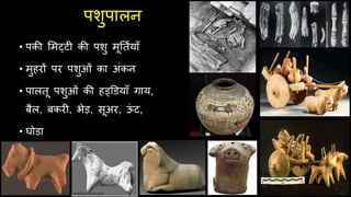 पशुपालन
• पकी लमट्टी की पशु मूततियााँ
• मुहरों पर पशुओं का अंकन
• पालतू पशुओं की हड्डडयााँ गाय,
बैल, बकरी, भेड़, सूअर, ऊ
ं ट,
• घोडा
 