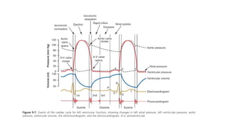 ivct and ivrt IN CARDIAC CYCLE [Autosaved] .pptx