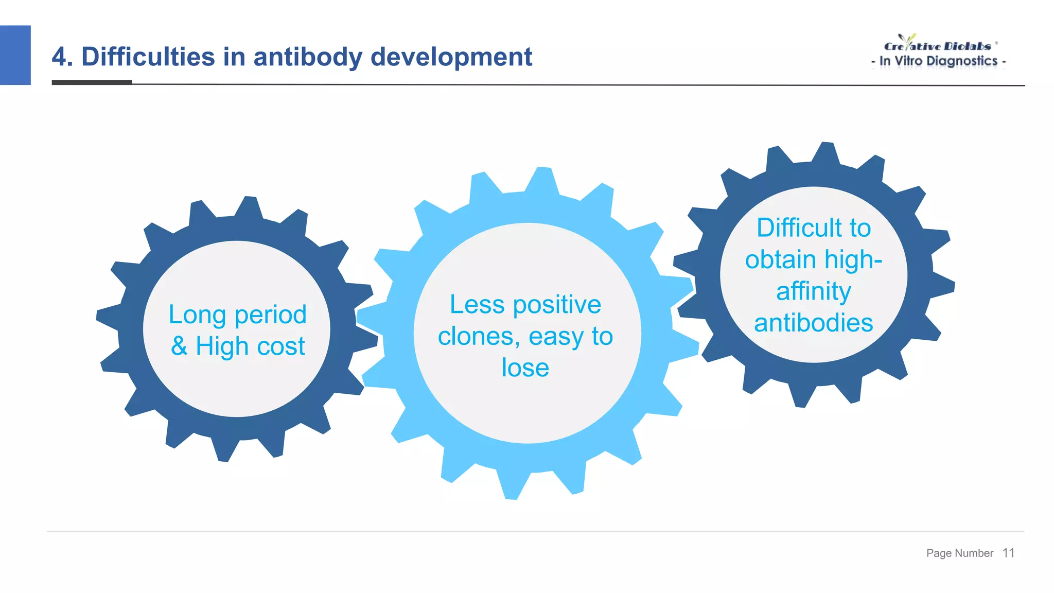 In Vitro Diagnostic (IVD) Antibody Development - Creative Biolabs | PPTX