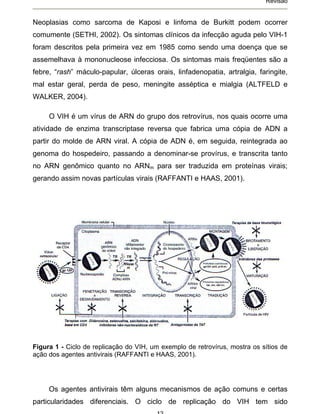 Revisão


Neoplasias como sarcoma de Kaposi e linfoma de Burkitt podem ocorrer
comumente (SETHI, 2002). Os sintomas clínicos da infecção aguda pelo VIH-1
foram descritos pela primeira vez em 1985 como sendo uma doença que se
assemelhava à mononucleose infecciosa. Os sintomas mais freqüentes são a
febre, “rash” máculo-papular, úlceras orais, linfadenopatia, artralgia, faringite,
mal estar geral, perda de peso, meningite asséptica e mialgia (ALTFELD e
WALKER, 2004).

     O VIH é um vírus de ARN do grupo dos retrovírus, nos quais ocorre uma
atividade de enzima transcriptase reversa que fabrica uma cópia de ADN a
partir do molde de ARN viral. A cópia de ADN é, em seguida, reintegrada ao
genoma do hospedeiro, passando a denominar-se provírus, e transcrita tanto
no ARN genômico quanto no ARNm para ser traduzida em proteínas virais;
gerando assim novas partículas virais (RAFFANTI e HAAS, 2001).




Figura 1 - Ciclo de replicação do VIH, um exemplo de retrovírus, mostra os sítios de
ação dos agentes antivirais (RAFFANTI e HAAS, 2001).




     Os agentes antivirais têm alguns mecanismos de ação comuns e certas
particularidades diferenciais. O ciclo de replicação do VIH tem sido
 