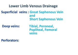 Lower Limb Venous Drainage
Superficial veins : Great Saphenous Vein
and
Short Saphenous Vein
Deep veins: Tibial, Peroneal,
Popliteal, Femoral
veins
Perforators:
 