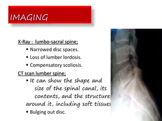 X-Ray : lumbo-sacral spine;
 Narrowed disc spaces.
 Loss of lumber lordosis.
 Compensatory scoliosis.
CT scan lumber spine;
 It can show the shape and
size of the spinal canal, its
contents, and the structures
around it, including soft tissues.
 Bulging out disc.
 