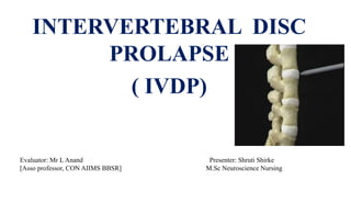 INTERVERTEBRAL DISC
PROLAPSE
( IVDP)
Evaluator: Mr L Anand Presenter: Shruti Shirke
[Asso professor, CON AIIMS BBSR] M.Sc Neuroscience Nursing
 