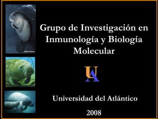 Grupo de Investigación en
 Inmunología y Biología
       Molecular



  Universidad del Atlántico
            2008
 