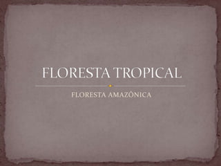 FLORESTA AMAZÔNICA
 