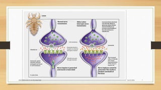 Ivermection Mechanism of action | PPTX